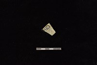 陶片藏品圖，第2張